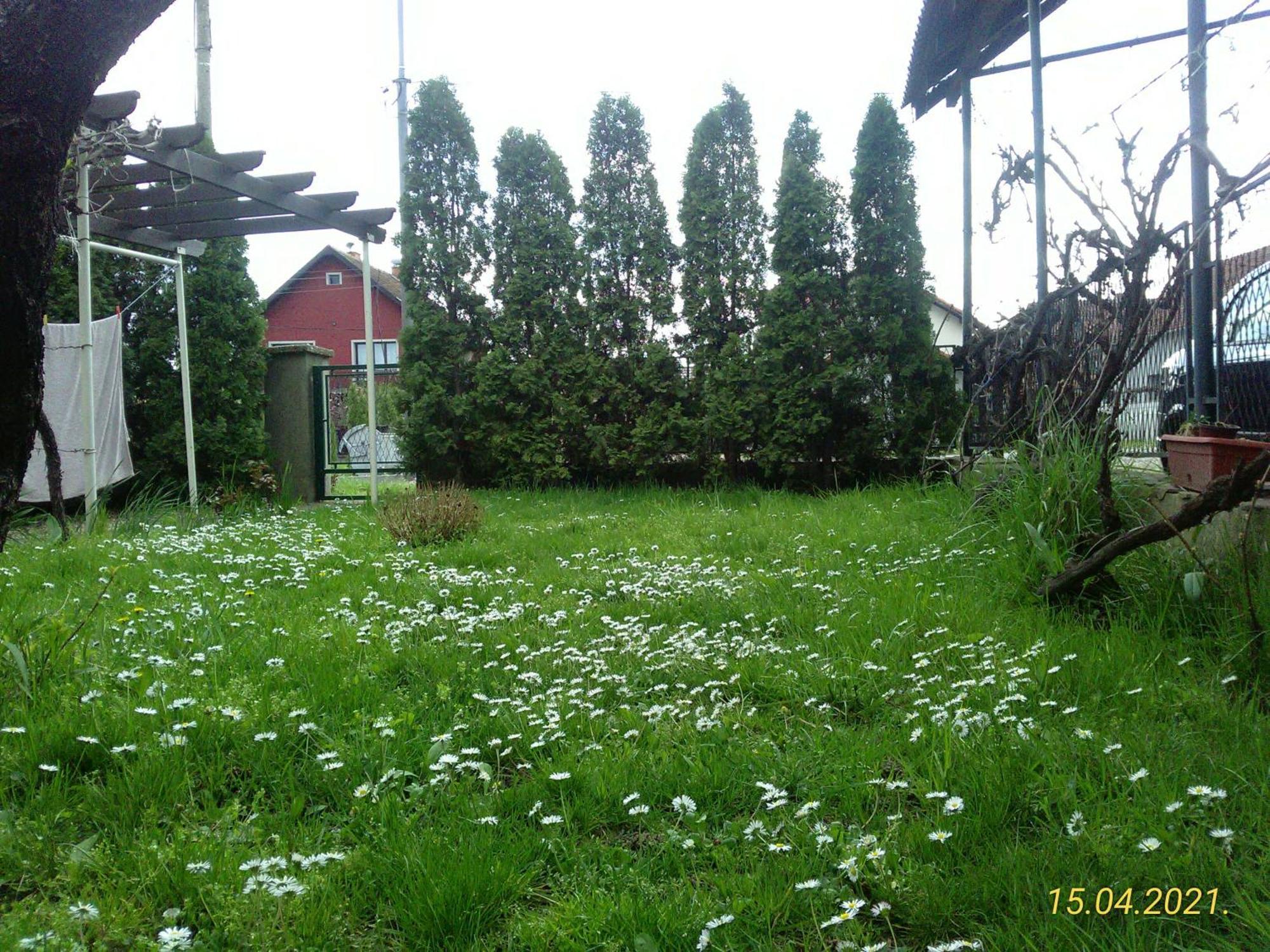 Kuca Za Odmor Jelena Kladovo Exterior foto
