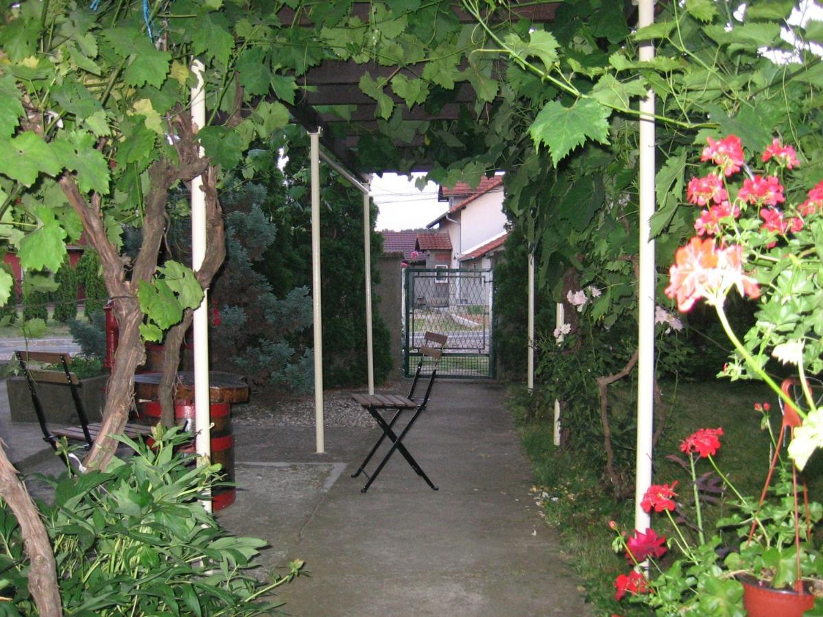 Kuca Za Odmor Jelena Kladovo Exterior foto