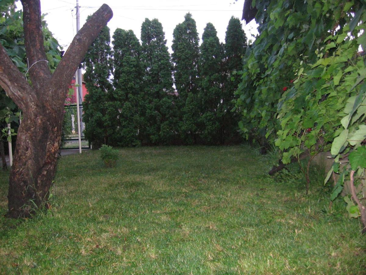 Kuca Za Odmor Jelena Kladovo Exterior foto