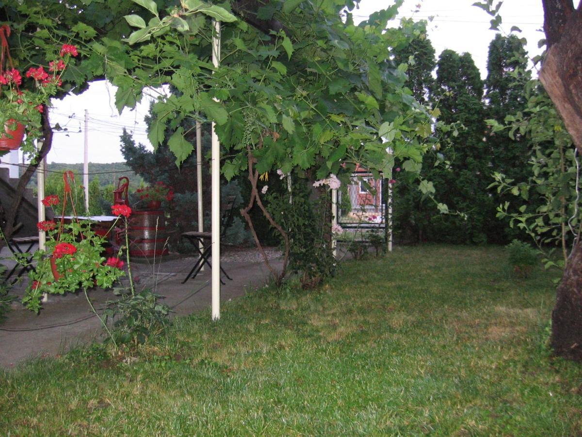 Kuca Za Odmor Jelena Kladovo Exterior foto
