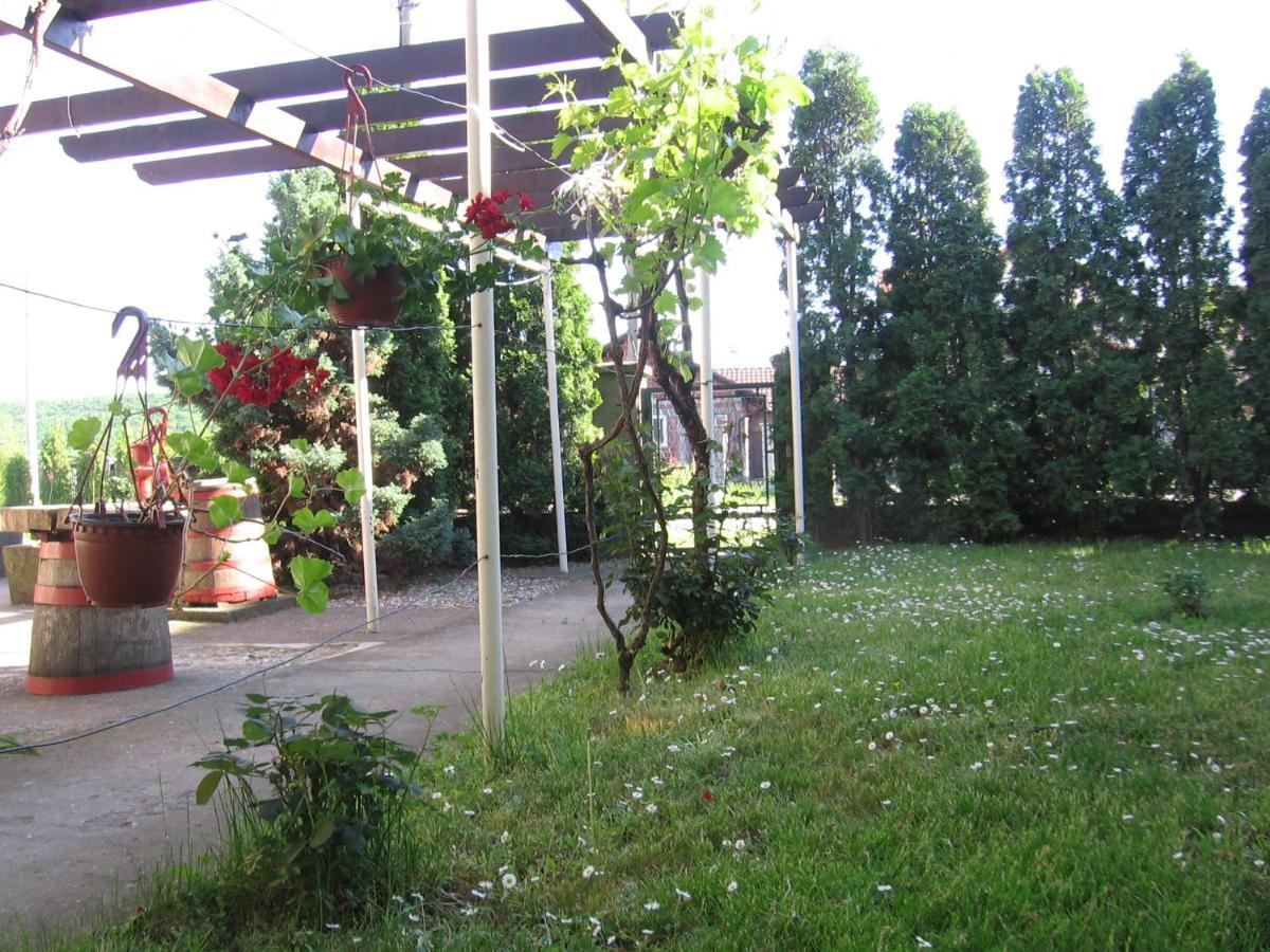 Kuca Za Odmor Jelena Kladovo Exterior foto